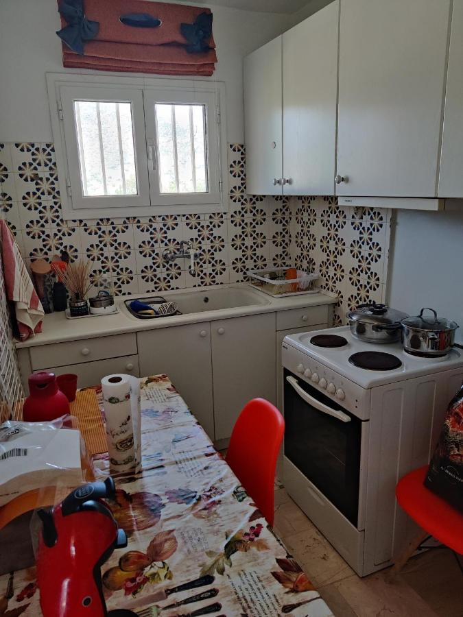 Seaview Apartment Pórto Ráfti エクステリア 写真